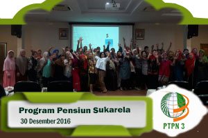 karier kedua ptpn